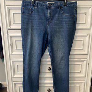 Artisan NY 14 skinny jean